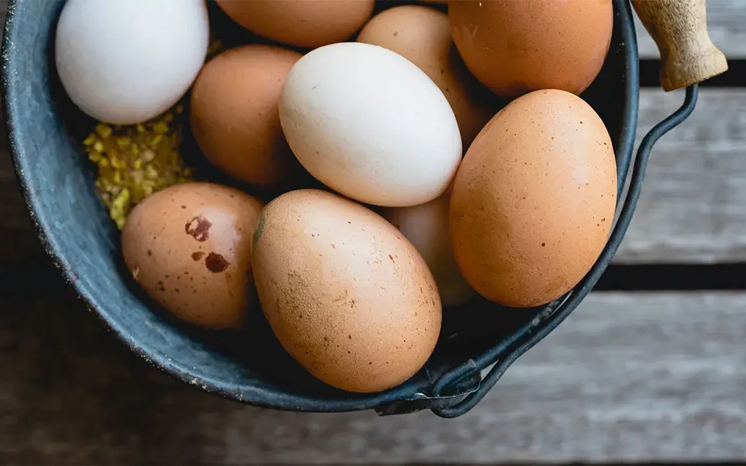 TOO EGGSPENSIVE:How The Egg Shortage Is Impacting American Families, And What You Can Do About It.